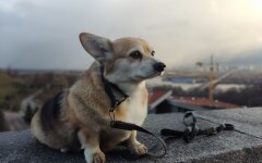 Прогноз погоди в Україні