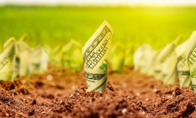 Рынок земли в Украине