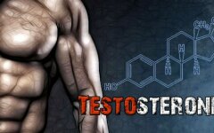 тестостерон