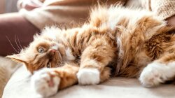 Прогноз погоди в Україні / Фото: Freepik