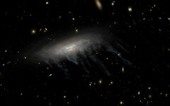 kosmos