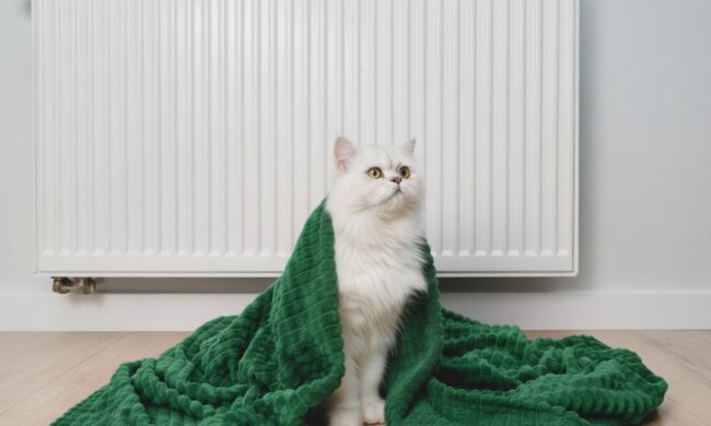 Опалення в Україні