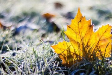 Осінь в Україні