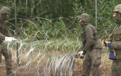 Граница Беларуси и Польши, мигранты