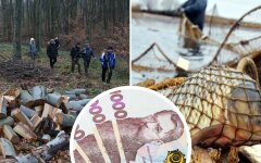 В Украине увеличили штрафы за вред природе: некоторые выросли в 28 раз