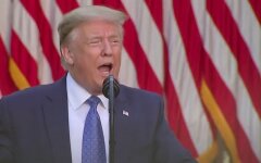 Дональд Трамп, Украина, Россия, Донбасс, Крым