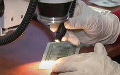 Курс валют в Украине,обмен валют в Украине,курс валют на среду,курс валют на 10 июня,НБУ