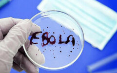 Вирус Эбола