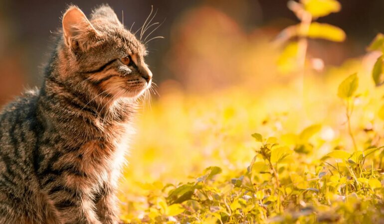 Прогноз погоды в Украине / Фото: Pexels