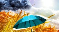 Погода в Україні