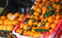 Цены на мандарины
