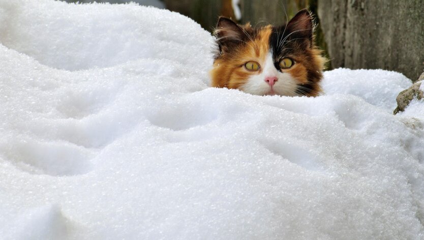 Прогноз погоды в Украине