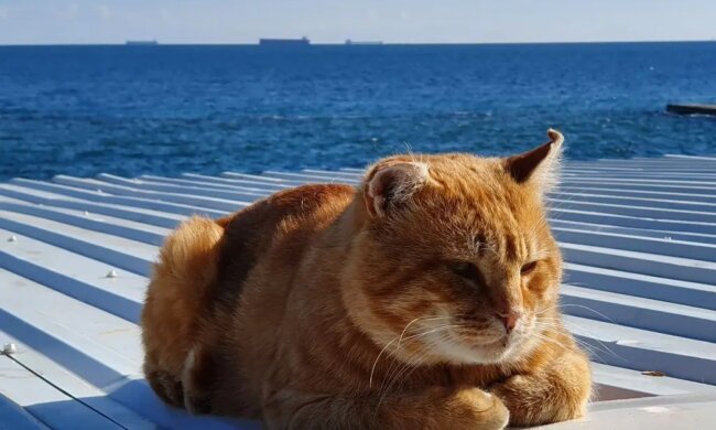 Прогноз погоды в Украине