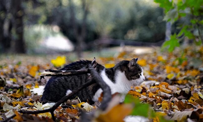 Прогноз погоды в Украине / Фото: Unsplash