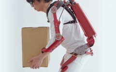 экзоскелет