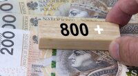 Выплаты ZUS 800+