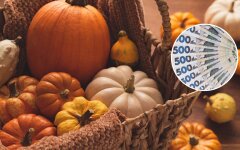 Цены на осенний овощ: одна тыква может обойтись в 125 гривен