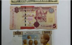 На Донбассе уничтожена целая группа наемников из Ливии