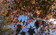 Погода в конце сентября