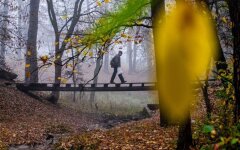 Прогноз погоды в Украине