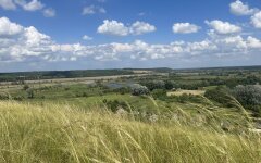 Прогноз погоды в Украине