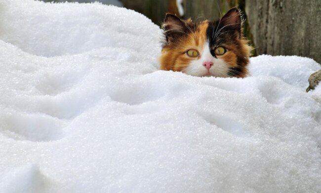 Прогноз погоди в Україні