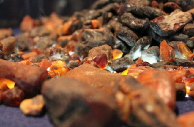 Укрбурштын янтарь