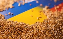 Вивезення Росією українського зерна