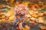 Прогноз погоды в Украине / Фото: Unsplash
