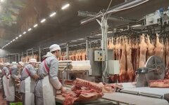 Цены на продукты в Украине, цены на свинину