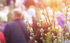 Синоптики дали прогноз погоды на Вербное воскресенье