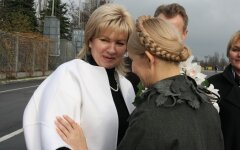 Булавка Тимошенко