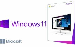 Windows 11
