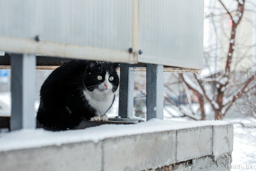 Прогноз погоди в Україні