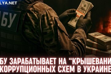 НАБУ зарабатывает на "крышевании" коррупционных схем в Украине, - Куртев