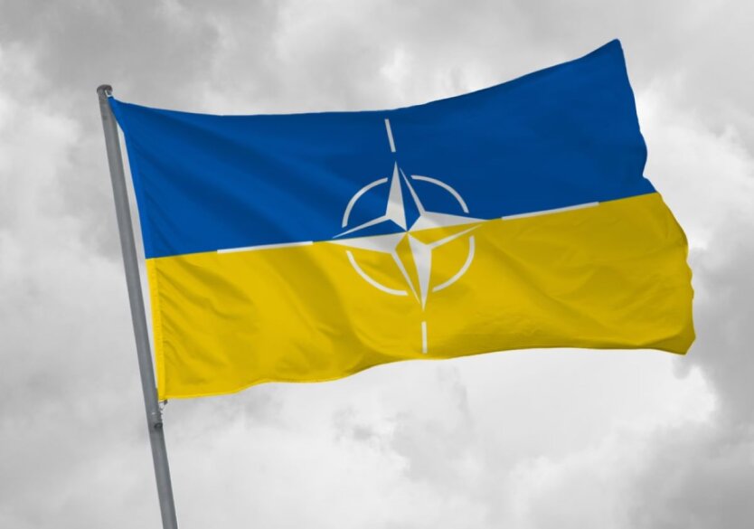 В Польше предполагают, что летом на саммите НАТО примут решение об уничтожении ракет РФ на западе Украины