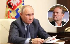владимир путин, виктор медведчук