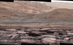 mars_fioletovyie-bulyizhniki