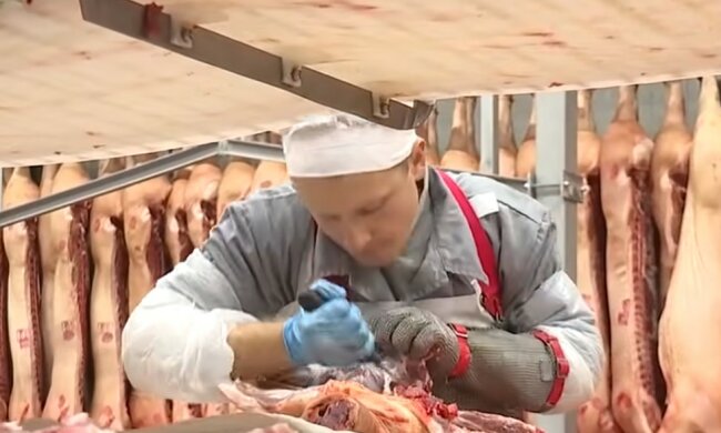 Граница Украины,Работа на мясокомбинате в Германии,Украинские заробитчане