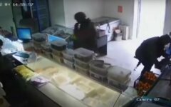Оккупанты массово занимаются мародерством