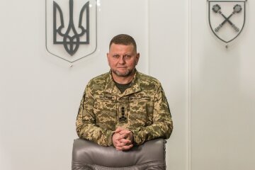 Валерий Залужный, главнокомандующий всу