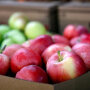 Ціни на яблука