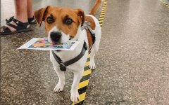 Марка Украинская Мрия и пес