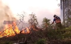 Пожежі в лісах Росії, лісові пожежі, РФ, Югра, тюмень
