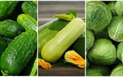 Цены на огурцы, кабачки и капусту