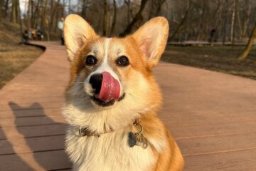 Прогноз погоди в Україні