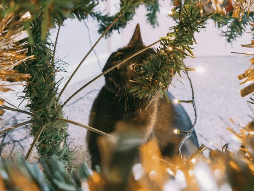 Прогноз погоды в Украине / Фото: pexels.com