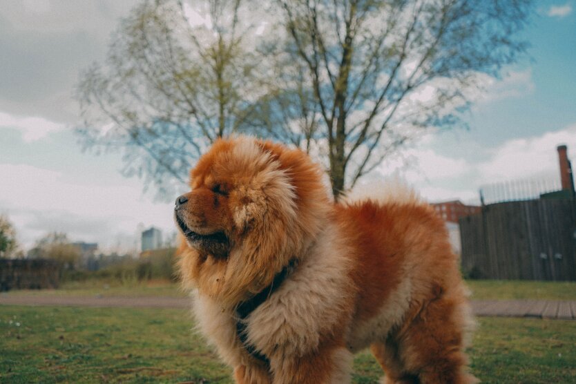 Прогноз погоды в Украине / Фото: Unsplash