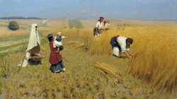 Сравнительный анализ положения сельского хозяйства Украины и Израиля