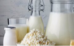 Молочная продукция в Украине, Импорт продуктов в Украину, Анна Лавренюк